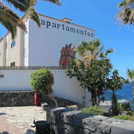 Appartement Feel The Breath Of The Ocean à Puerto de Santiago  Extérieur photo
